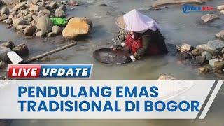 Kisah Pendulang Emas Tradisional di Cariu Bogor, Warga Bisa Bisa Dapat 150 Miligram Emas Sehari