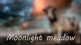 Moonlight meadow —  music video