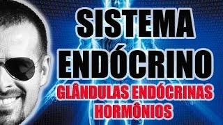 Sistema Endócrino: Glândulas endócrinas e hormônios secretados - Anatomia Humana - Vídeo Aula 033