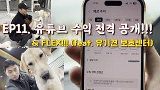 EP11. 유튜브 수익 전격 공개!!! & FLEX (feat. 유기견 보호센터)｜Revealing the YouTube earnings & Flexing #DogShelter