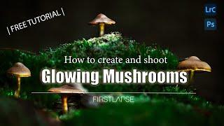 How to create & photoshoot GLOWING illuminated mushrooms in the forest. FREE fungie tutorial!