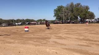Angel Rae Miller and Run N Wonder making another confident run march 2017
