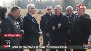 Лукашенко: Как будто Порошенко у меня друг, а Зеленский враг / Выборы Президента Украины