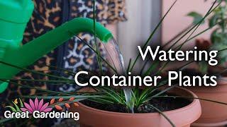 How to Water Plants - Different Pot Sizes and Containers