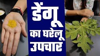 डेंगू के मरीज को डरने की जरूरत नहीं मिल गया इलाज प्लेट लटेस् भी बढ़ेगी घर बैठे Dietician Kanika