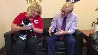 Pet of The Week!