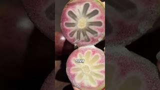 Top 5 Strangest Fruit #4  #shorts