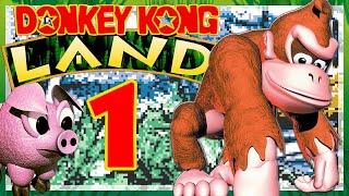 DONKEY KONG LAND # 01  World 1: Gangplank Galleon Ahoy!