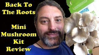 Back to The Roots Mini Mushroom Kit - My Growing Mushroom Review