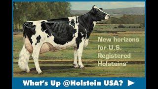 What's Up at Holstein USA - New horizons for U.S. Registered Holsteins®