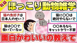 【有益スレ】猫のかわいい＆おもしろ雑学！ほっこりする動物ネタで癒やされたい人集まれ！【ガルちゃん2chスレまとめ】