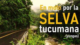 Cross the JUNGLE on a MOTORCYCLE. Trip through the Yungas of TUCUMAN ► #ClubRalenti ◄ Argentina