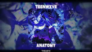 TEENWXVE - Anatomy