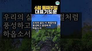 6월 둘째 주일예배 대표기도문