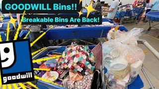 Let’s Go To Goodwill Bins! I Made A Mistake! & Breakable Bins Are Back! Thrift With Me