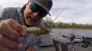 Jerkbaits for Smallmouth Bass - One of the best Hard Baits for Smallmouth Bass!