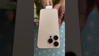 iPhone 16 Pro Max Unboxing 