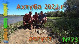 Ахтуба 2022 !!! Ловля сазана на реке . Неделя рыбалки в астраханской области дикарями