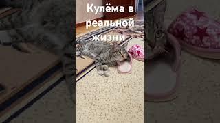 Кулёма в реальной жизни и Кулёма на камере