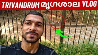 മൃഗശാലയിലെ കാഴ്ച്ചകൾ | Trivandrum Zoo Vlog #zoovlog #travelvlog