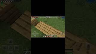 Minecraft surviver