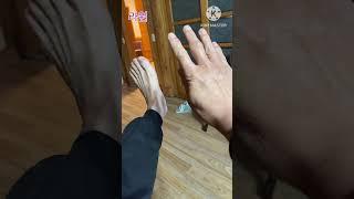 동안거 해제