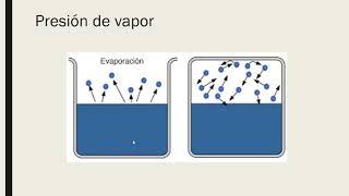 presión de vapor y punto de ebullición