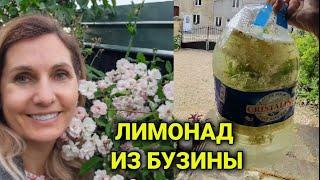 Неугомонные критики | лимонад из бузины| не полезный ужин