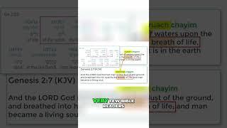 Unlocking Mysteries: The Neshama and Ruach Connection in the Bible