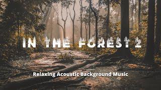 Study Sleep Relax ] In The Forest 2 1H   Relaxing Acoustic Background Music