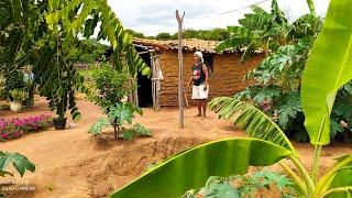 VIDA SIMPLES NA ROÇA LUGAR DE PAZ NO SERTÃO NORDESTINO BRASILEIRO