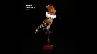 Fabric 77 - Marcel Dettmann (2014) Full Mix Album