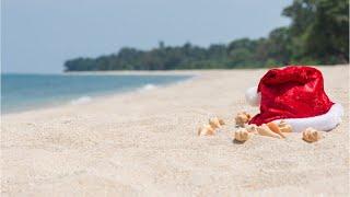 Season's Greetings From the Staff at TCPALM