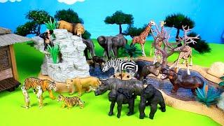 Wild Zoo Animals l Schleich Animals Building Sets l Fun Toys For Kids Video