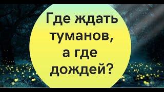 Туманы и дожди: синоптики дали новый прогноз на выходные. Карта