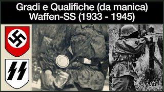 Gradi e Qualifiche Waffen-SS (1933-1945) - Manica