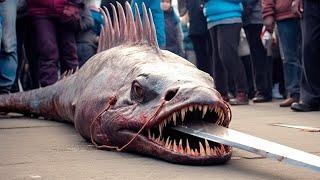 Top 10 most dangerous freshwater fishes in the world #animalworld #dengerousfish #animallover