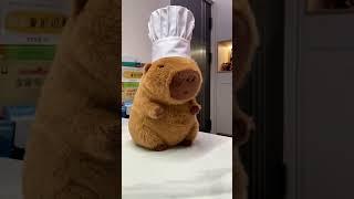 I officially declare that from today, Capybara is a master chef! #cute #capybara #chiefs #master