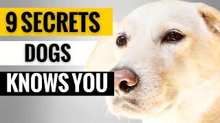 9 Secrets Your Dog Knows About You