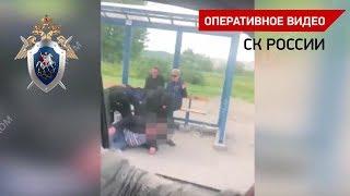 Заполярный лес вырубали за взятки