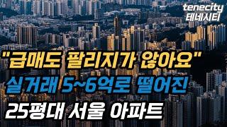 5억대, 6억대로 하락한 서울 25평대 아파트 Best10. 가성비 좋은 서울 25평대 아파트 [GTX 서울 아파트 매매 폭락 하락 부동산 전망]