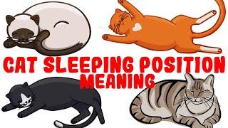 What Your Cat's Sleeping Position Reveals About Their Health and Personality