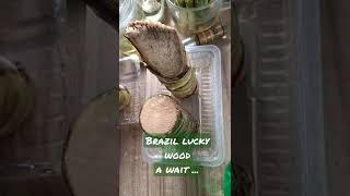 Brazil Lucky Wood