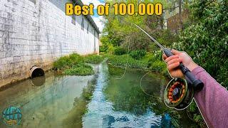 THE BEST FISHING / FLY FISHING VIDEO! (Best of 100,000 Subscribers)