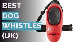  10 Best Dog Whistles