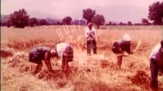 Katerini in Greece, late 1960's.  Archive film 94115