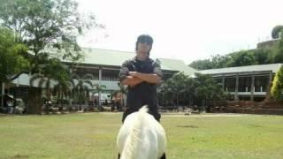 Push - Leon Trowa