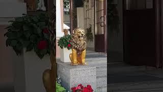 Ресторан "Золотой лев"
