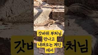 무량수무량광 나무아미타불