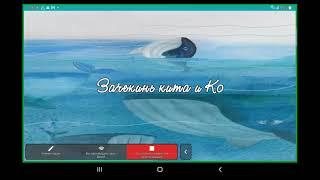 Онлайн-инструкция о внесении данных в приложение "Зачекинь кита и Ко."